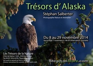 Stephanature - Tresors d Alaska